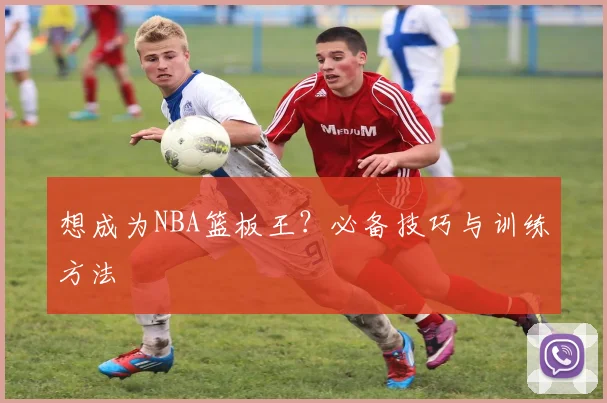 想成为NBA篮板王？必备技巧与训练方法